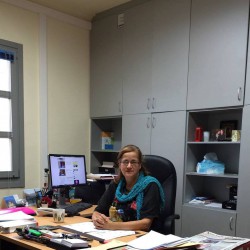 Η προϊσταμένη των Τεχνικών Υπηρεσιών της Περιφέρειας Ελένη Δοξάκη εξηγεί πως η παρέμβαση δεν πρόλαβε να ολοκληρωθεί.