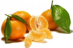 mandarine