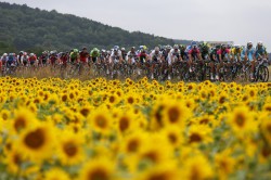 Tour de France 2014 - 7th stage