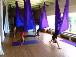 aerial yoga