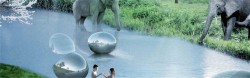 zoo