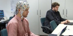 brain