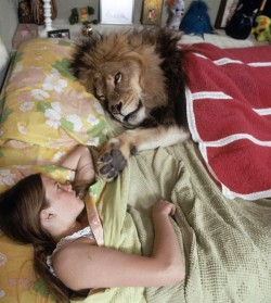 liontari