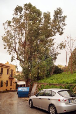 DSC08566