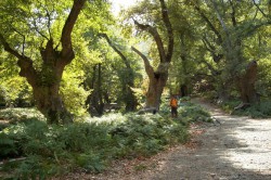 samothraki1