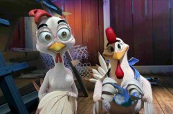 un_gallo_con_muchos_huevos_03