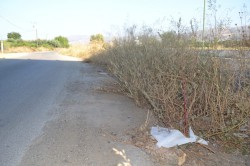 Αποκαρδιωτική είναι η εικόνα που εμφανίζουν οι παράδρομοι της εθνικής, αφού κανείς δεν φαίνεται να αναλαμβάνει τη συντήρησή τους.