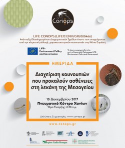 poster_40x60