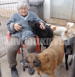 Συνεργασία ζητά από το δήμο Χανίων η 80χρονη πρόεδρος του Παγκρήτιου Συλλόγου “Κιβωτός του Νώε” Κωστούλα Στούπη, καθώς όπως υποστηρίζει ο δήμος μεταφέρει αδέσποτα στο κυνοκομείο στα Νεροκούρου χωρίς όμως να αναλαμβάνει τις οικονομικές του υποχρεώσεις τις οποίες επιβαρύνεται η 80χρονη πρόεδρος του Συλλόγου.  