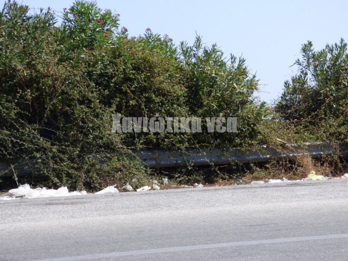 parkinganamesaseboykolies-kolymmbari
