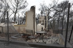 ΡΑΦΗΝΑ 2H ΜΕΡΑ ΜΕΤΑ ΤΗΝ ΠΥΡΚΑΓΙΑ