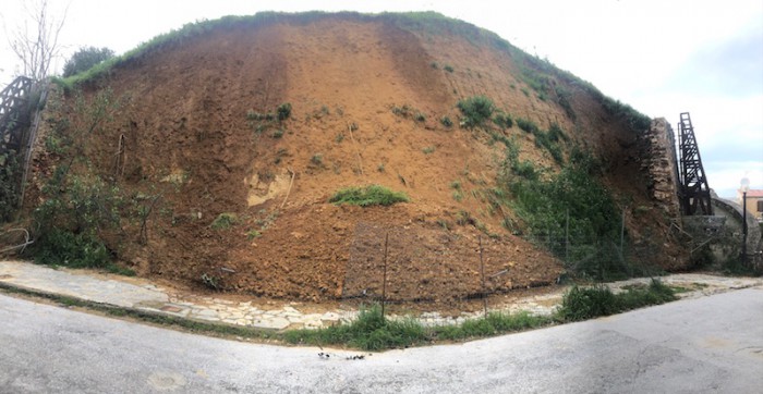 epipromaxonas