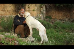 3-SOLOMOS