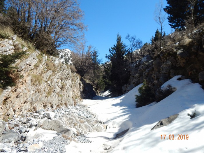 DSCN3279