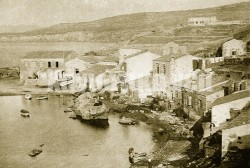 tamparakia