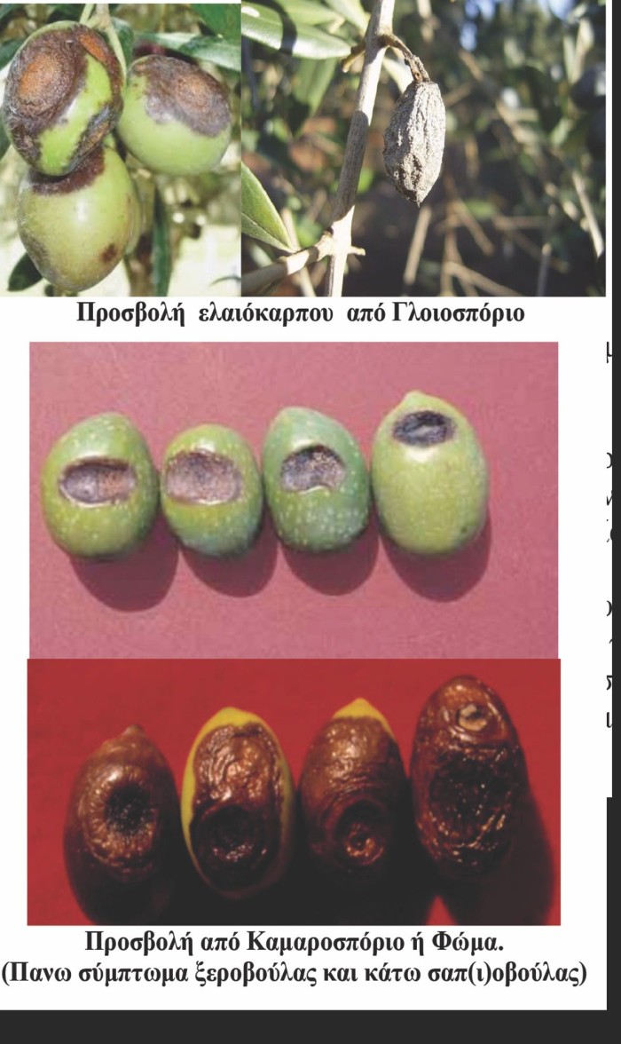 φωτό μέσα.docx
