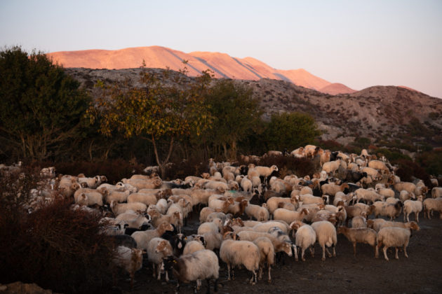Κρήτη