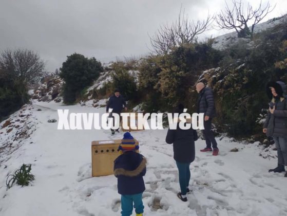 απελευθέρωση όρνιων