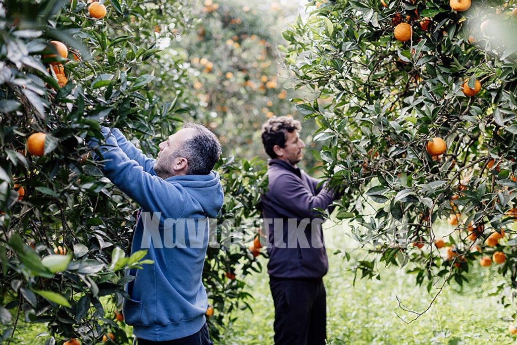 Στήριξη Ουκρανών προσφύγων