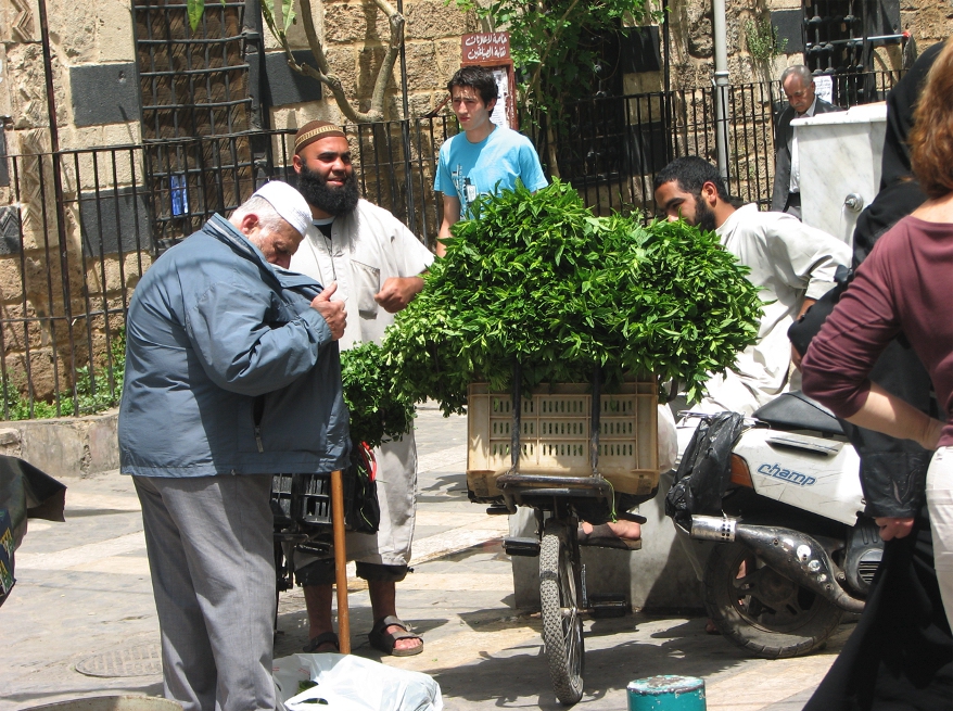 σκέψεις από μία εθελόντρια