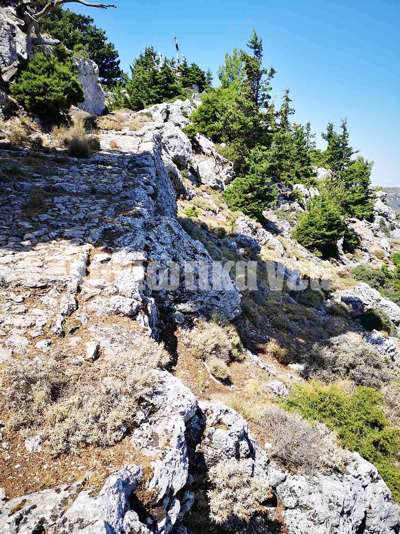 Στράτα των Μουσούρων